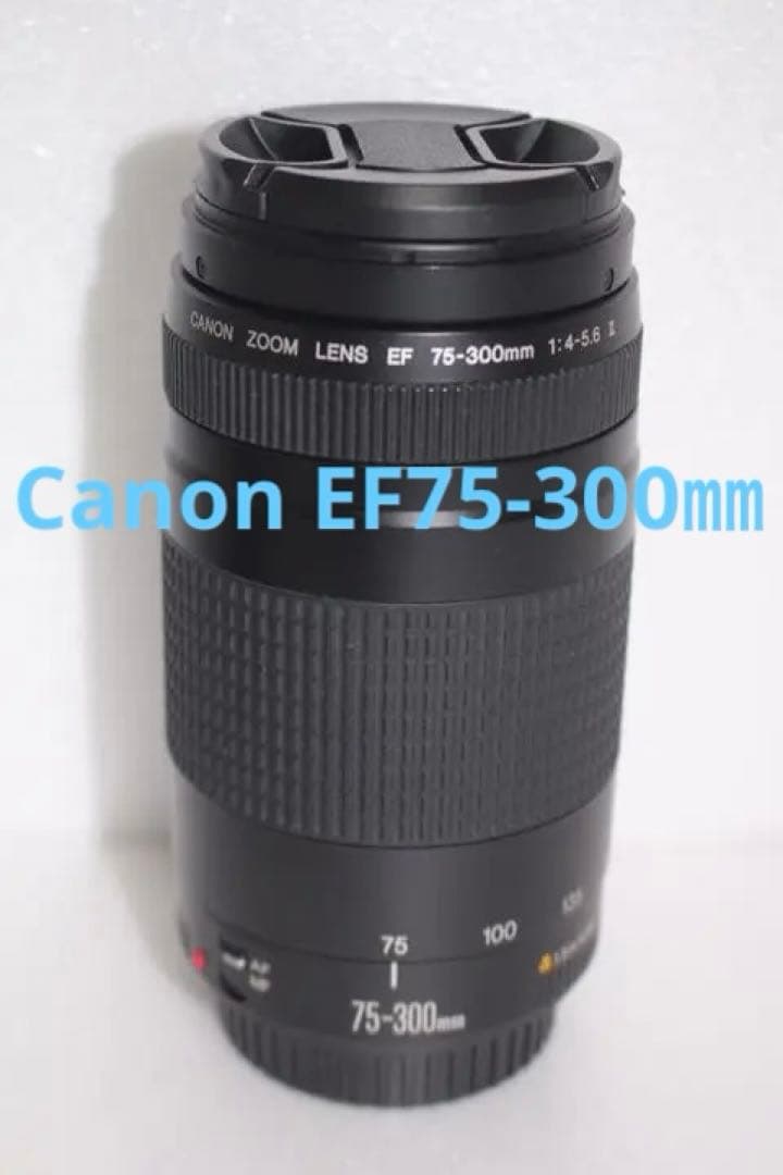望遠レンズ☆遠くも撮れる！キャノン Canon EF75-300㎜