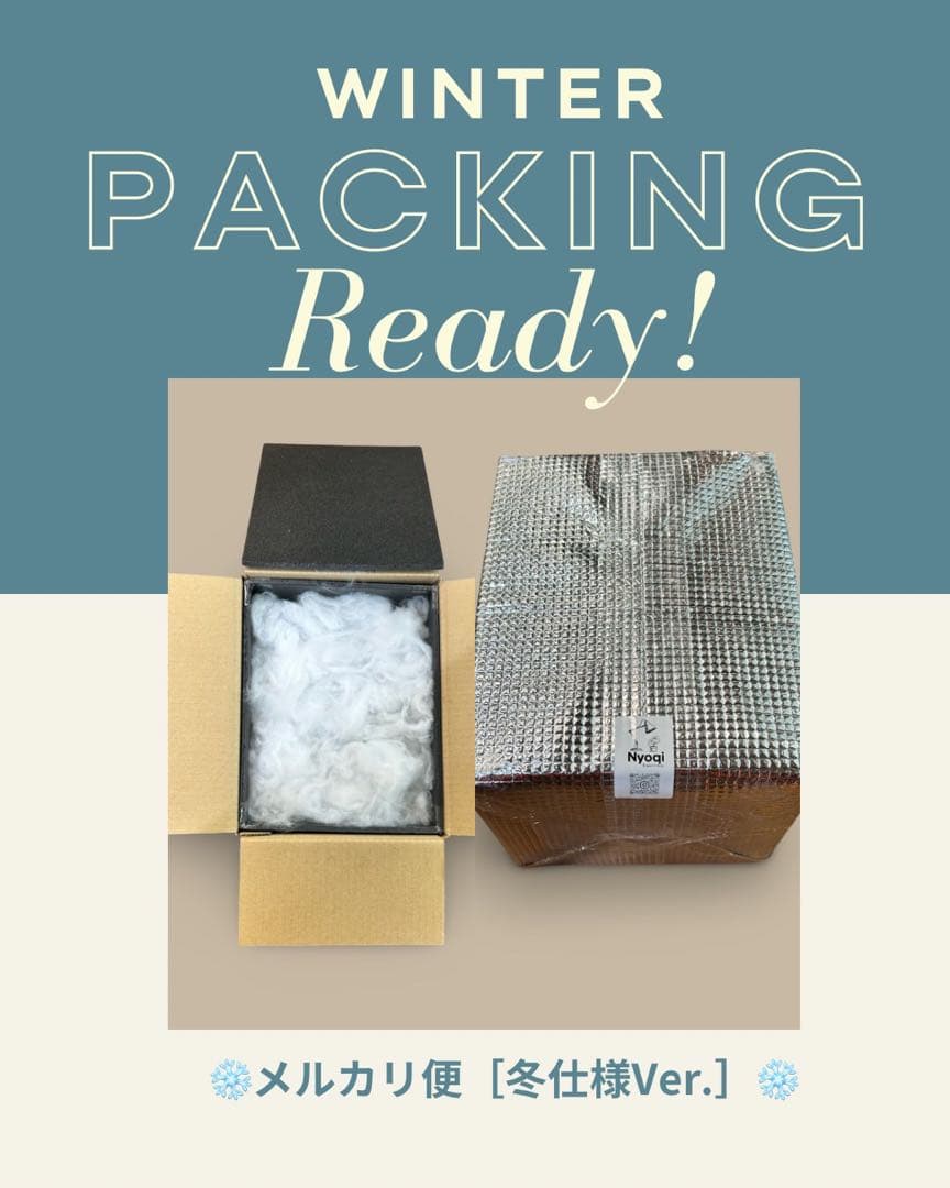 その他観葉植物 Alocasia Black Velvet Pink Variegated