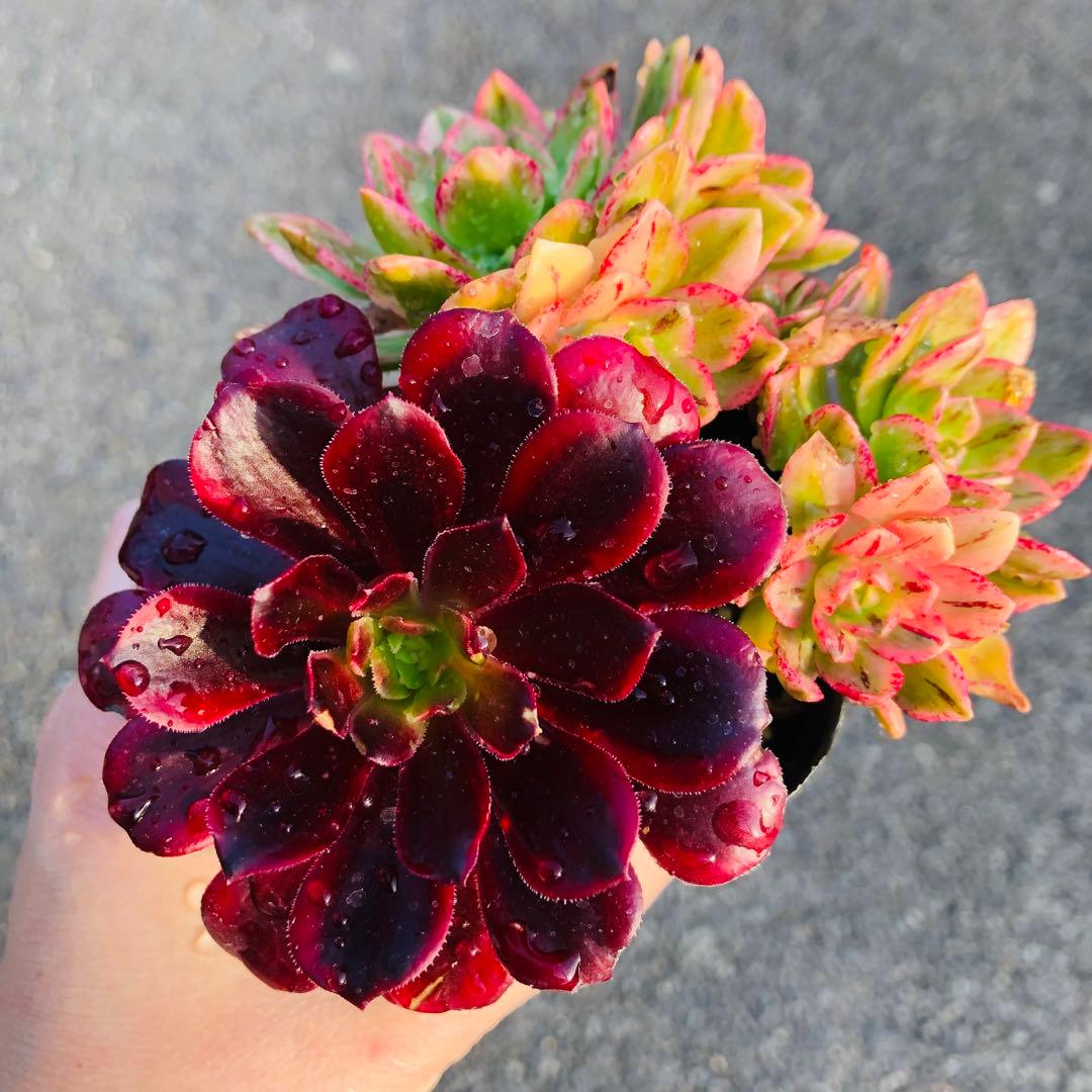 mrk様 リクエスト 6点 まとめ商品