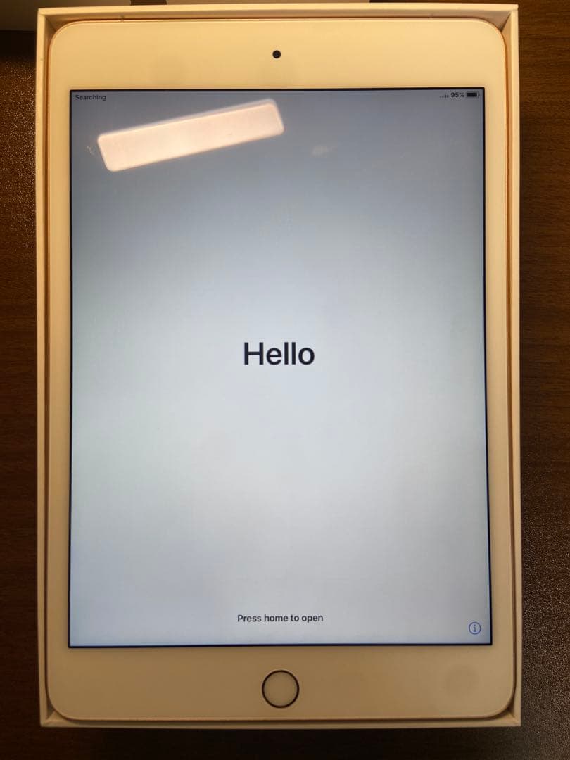 【専用】iPad mini 第5世代 64GB SIMフリー 美品