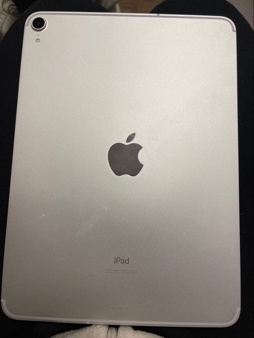 はなちゃん　Apple iPad pro 11インチ　シルバー