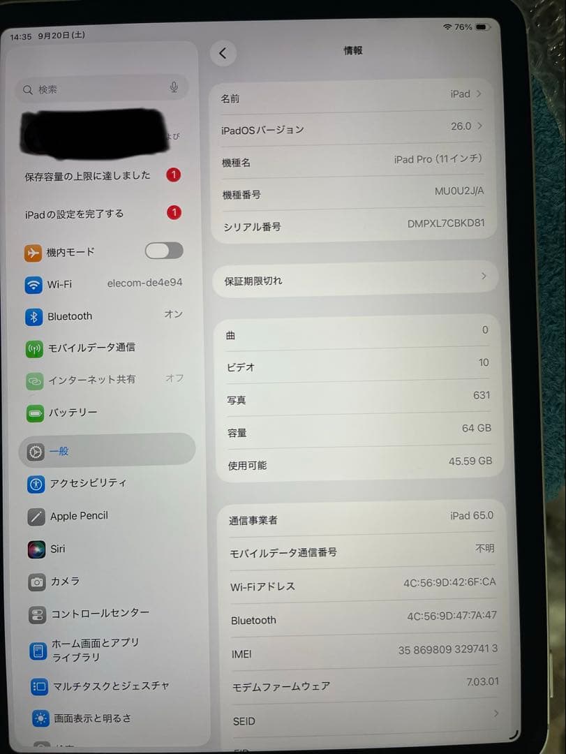 はなちゃん　Apple iPad pro 11インチ　シルバー