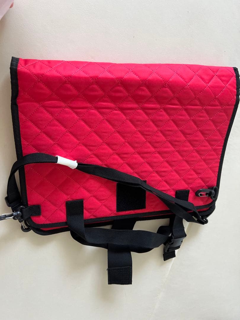 Disney英語システムブルーレイメイトプレーヤー⭐︎最新版カーポケット付き