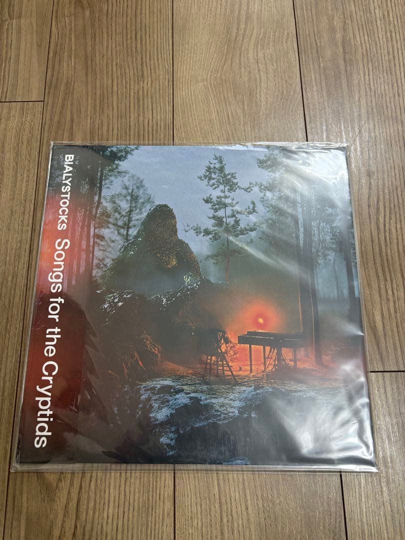 BILLYSTOCKS Songs for the Cryptids レコード