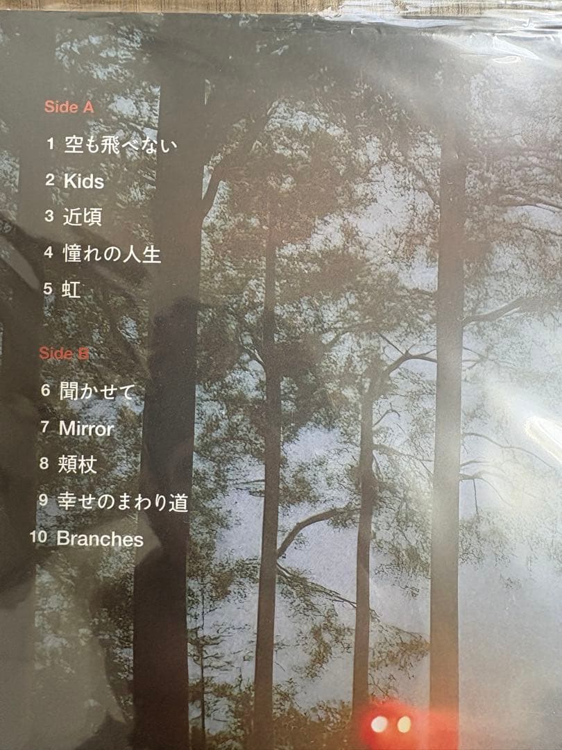 BILLYSTOCKS Songs for the Cryptids レコード