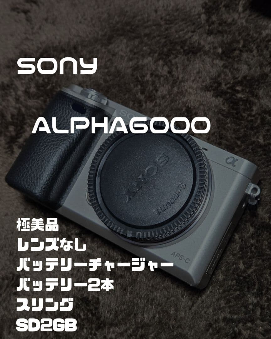 SONY α6000 ボディ単体 シルバー｜バッテリー・チャージャー・SD付属