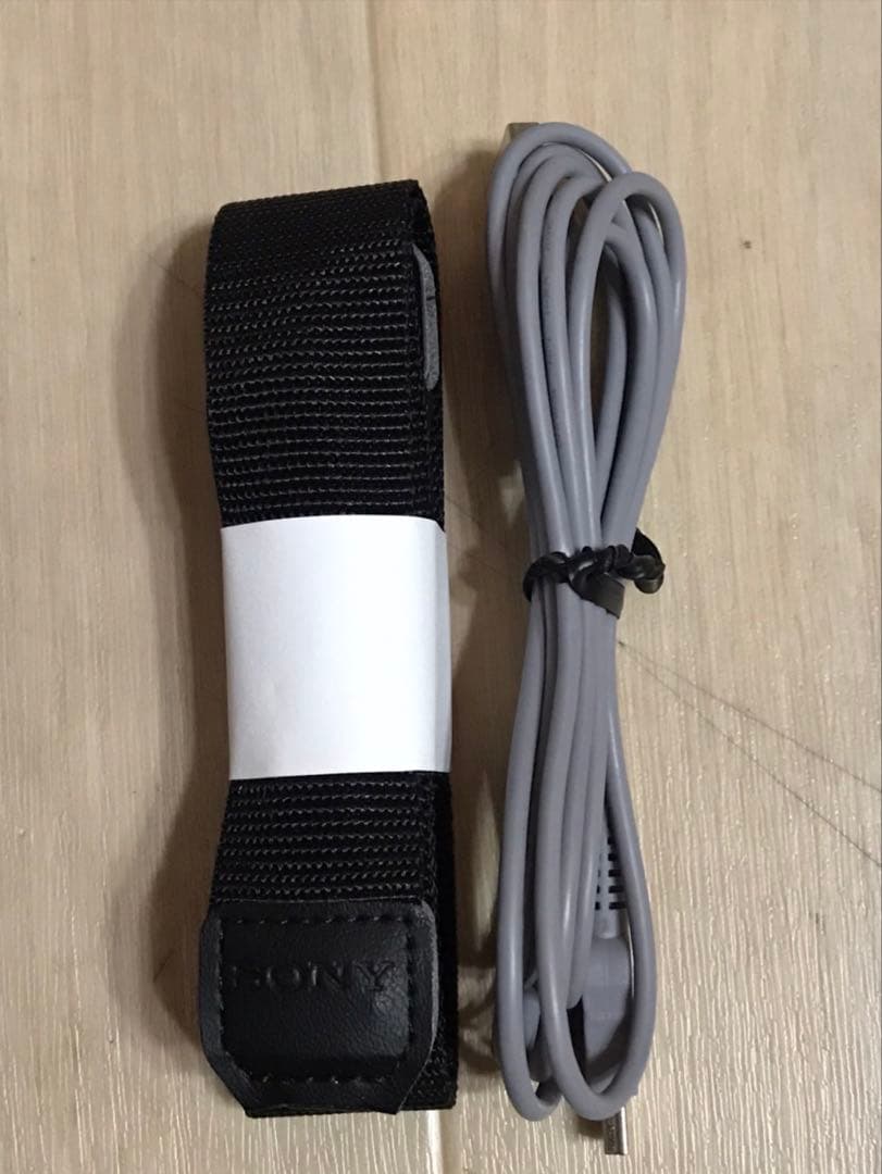 ソニー　NEX 5 ボディ　ゴールド　動作良好