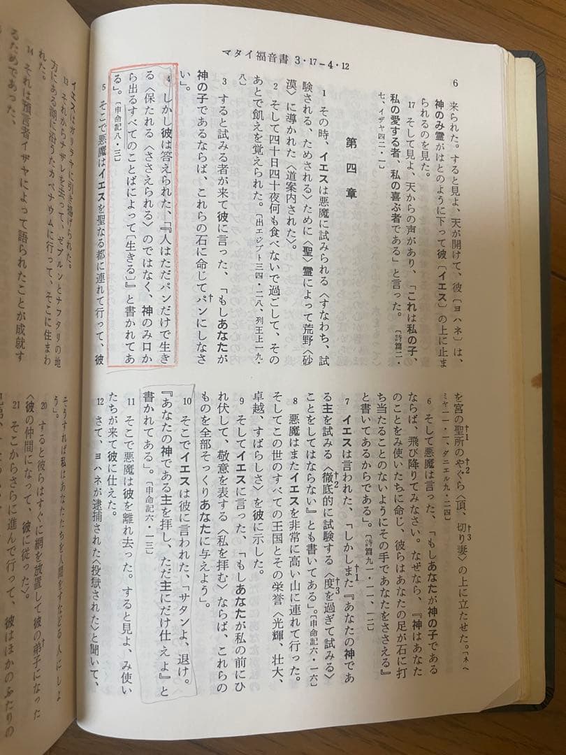 詳訳聖書（新約）