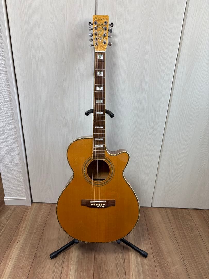 Bugs Gear ９弦エレアコギター　中古品