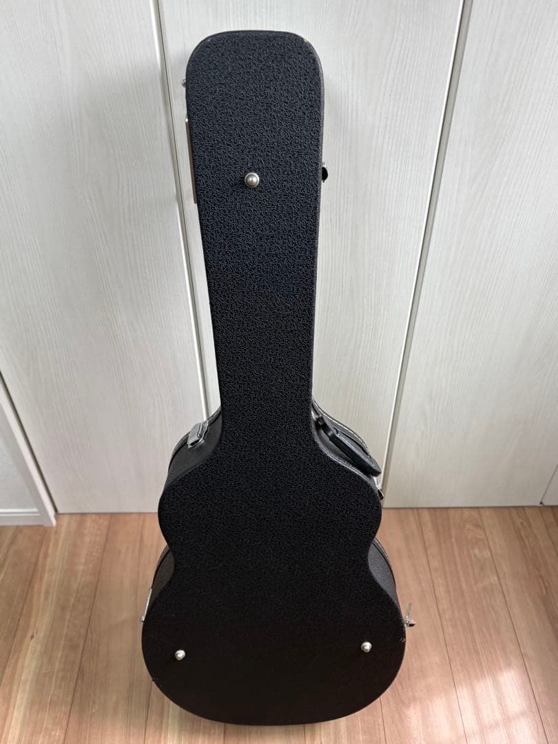 Bugs Gear ９弦エレアコギター　中古品