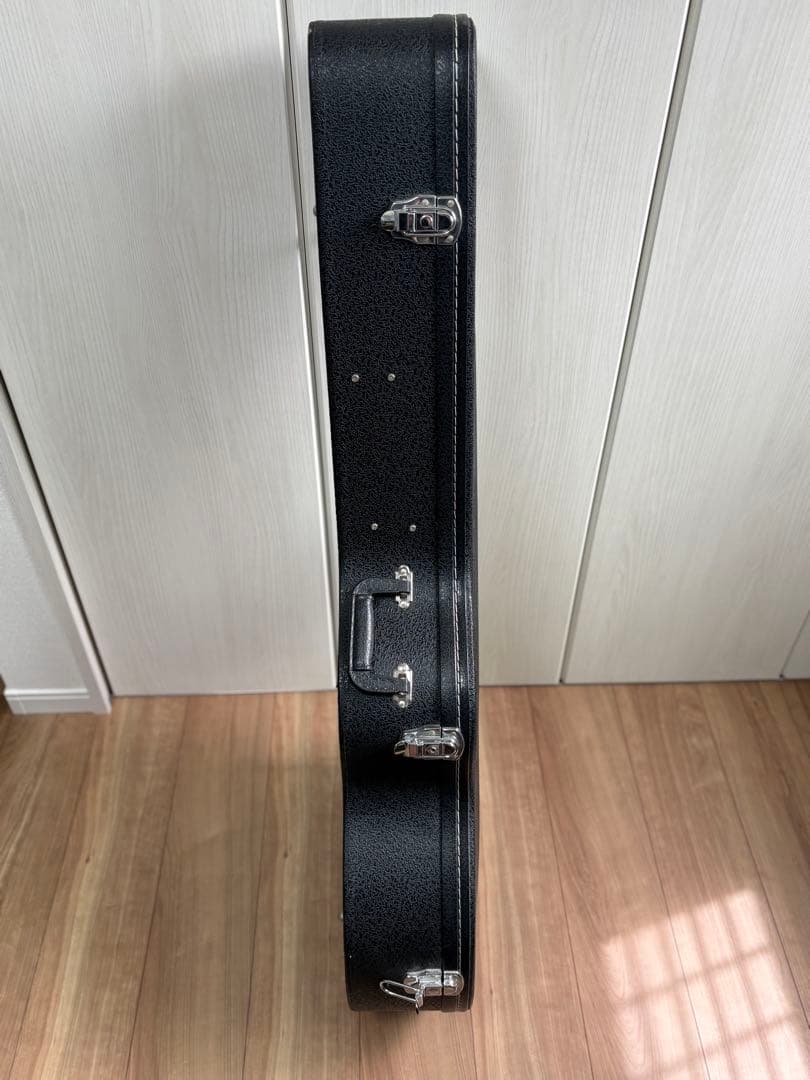 Bugs Gear ９弦エレアコギター　中古品