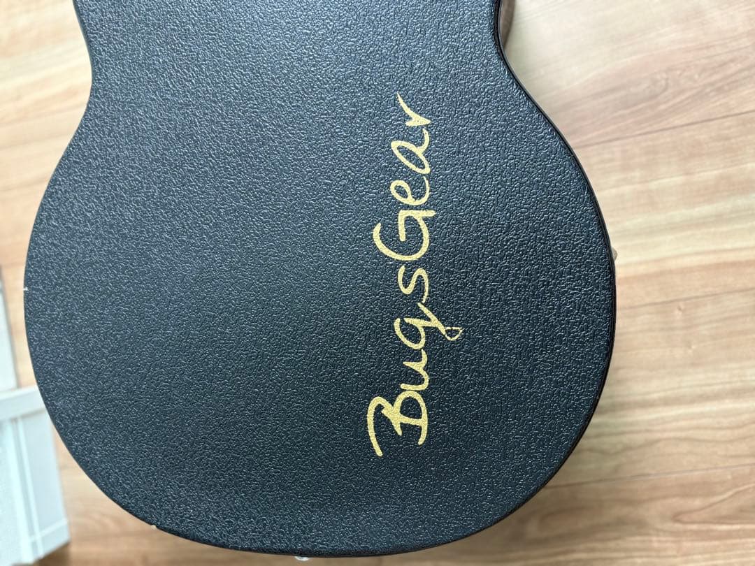 Bugs Gear ９弦エレアコギター　中古品