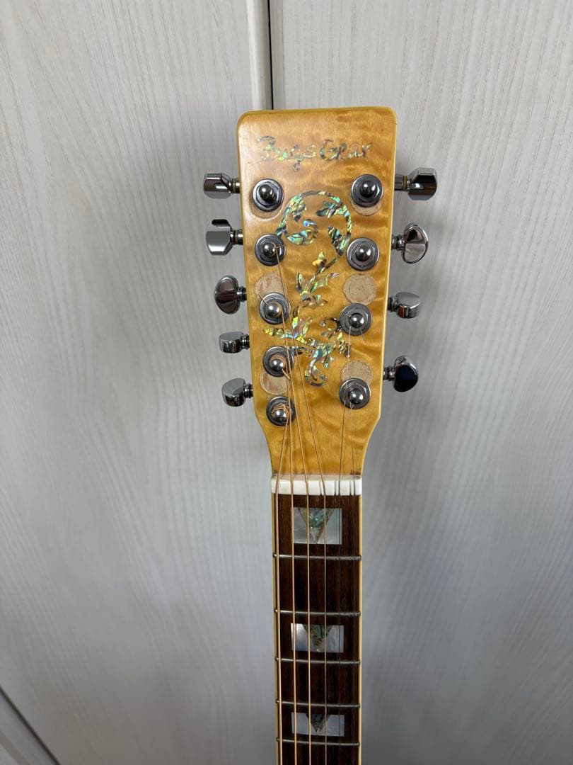 Bugs Gear ９弦エレアコギター　中古品