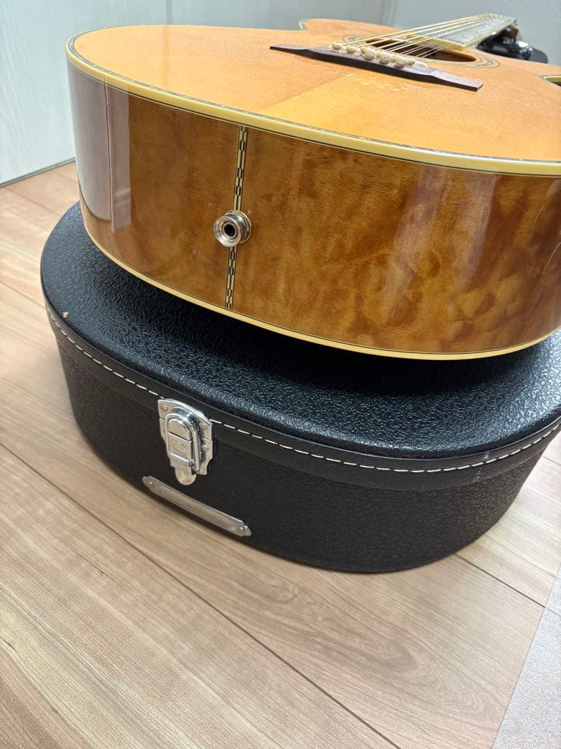 Bugs Gear ９弦エレアコギター　中古品