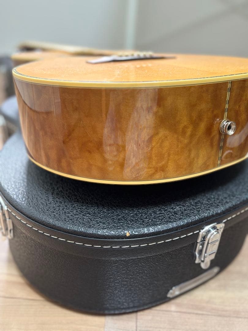 Bugs Gear ９弦エレアコギター　中古品