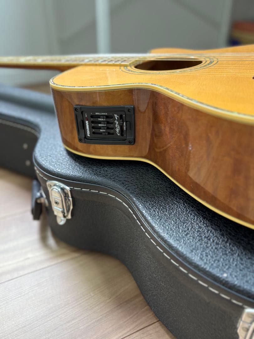 Bugs Gear ９弦エレアコギター　中古品