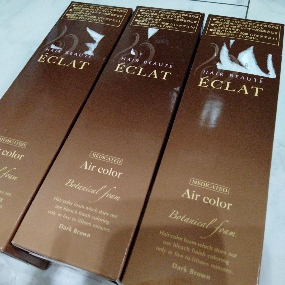 ヘアボーテ エクラ ボタニカルエアカラーフォーム ダークブラウン 150g 3本