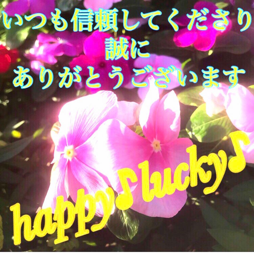 秘符(ご依頼者様用)好印象　恋愛　恋人　勇気　眼病　視力向上　護符　霊符　お守り