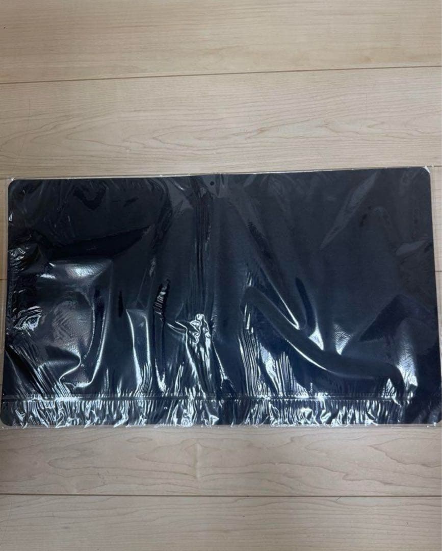 遊戯王　失楽の堕天使　プレイマット　アジア