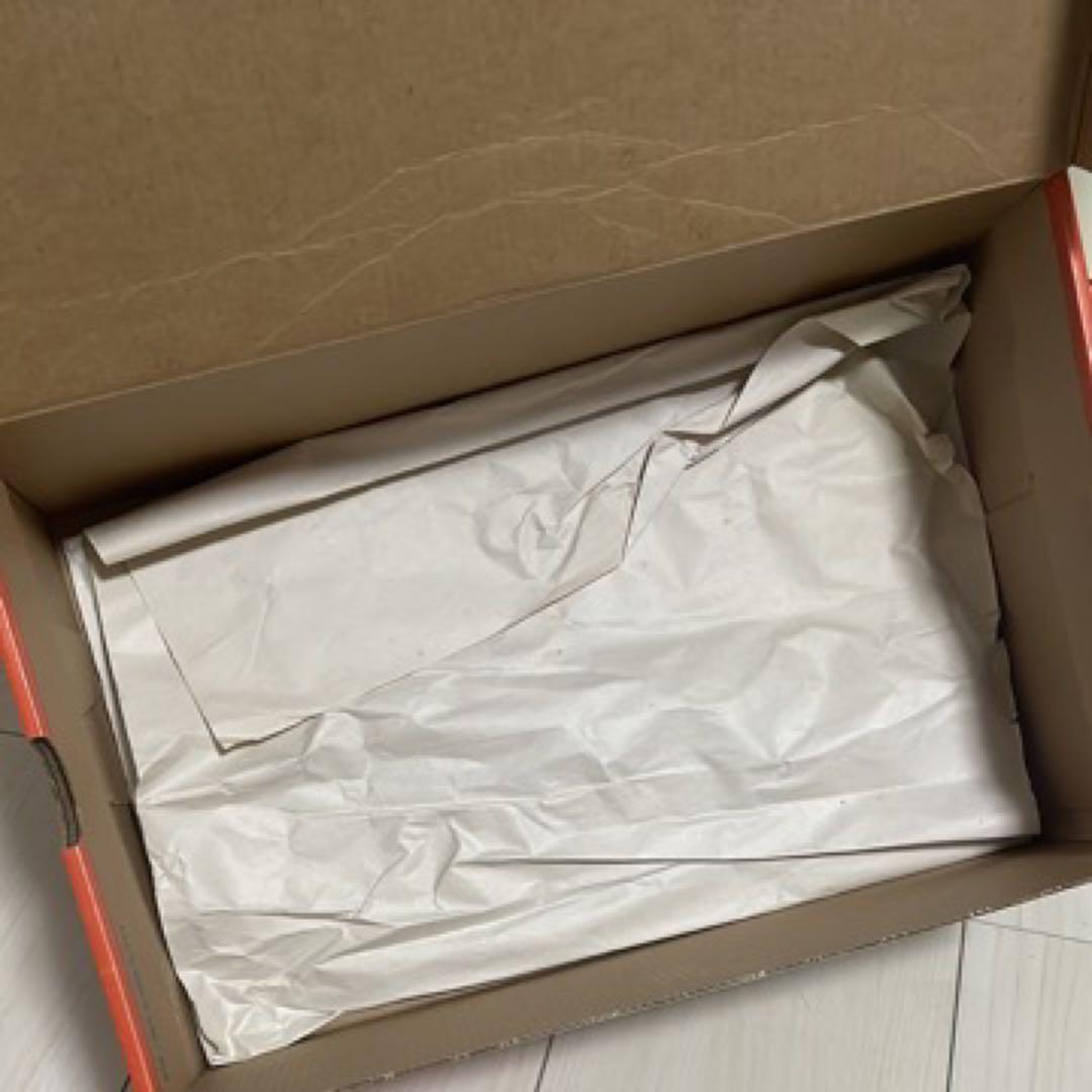 靴 NIKE ZOOM TERMINATOR syracuse 27cm