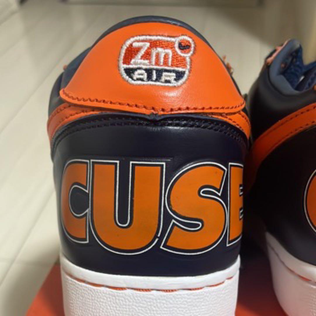 靴 NIKE ZOOM TERMINATOR syracuse 27cm