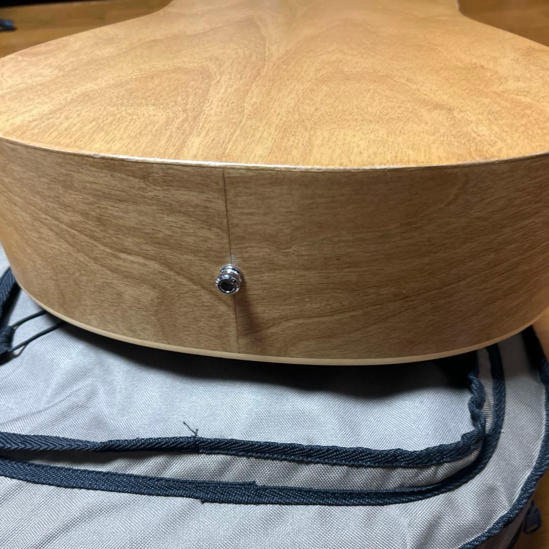 Art＆ Lutherie A&L Cedar 使用感あり リアル レリック風