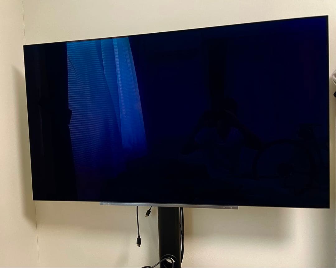 Pluku様限定　TOSHIBA 55インチ 55X830 有機ELテレビ 本体