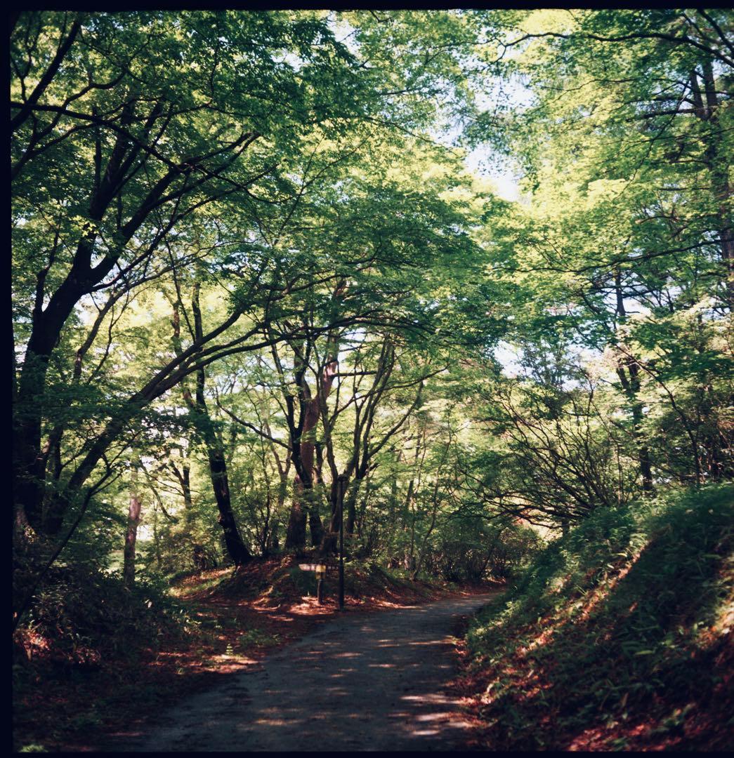 最終値下げ 極美品Hasselblad ハッセルブラッドA24マガジンOH済み