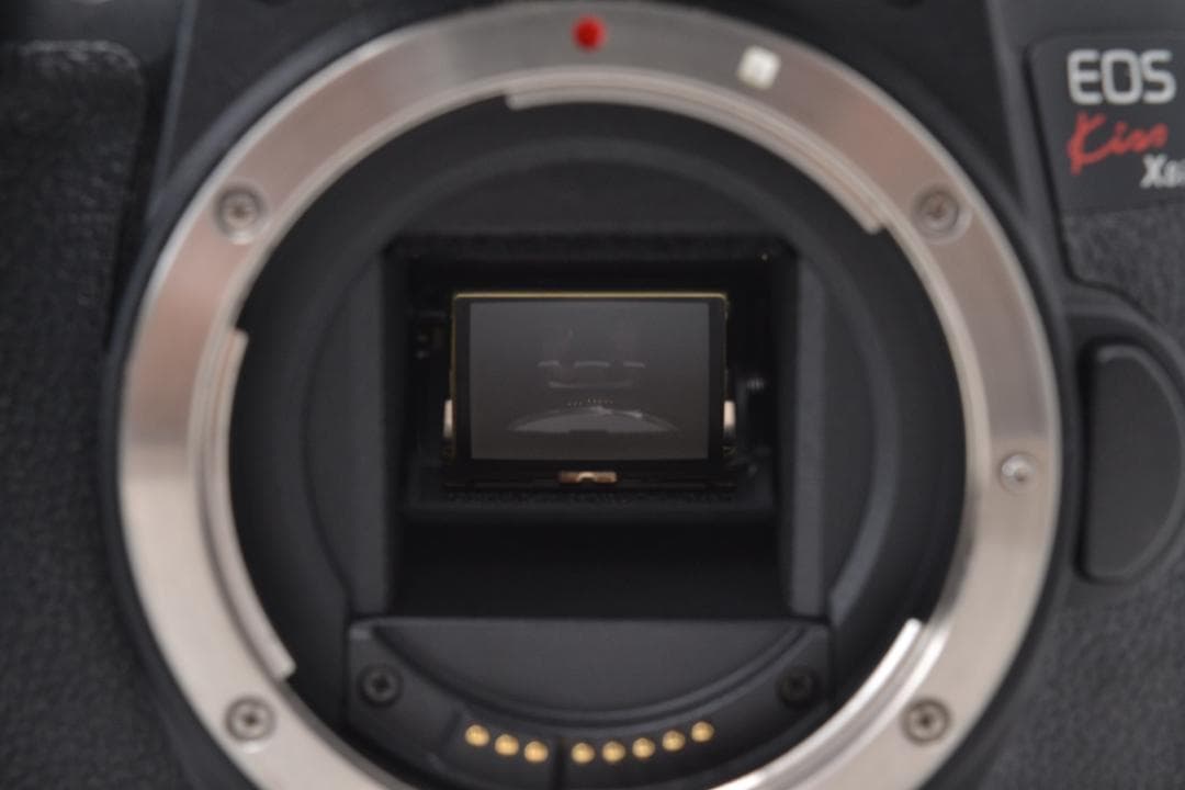 ≪ S数592回 ≫ キャノン　Canon Kiss X8i レンズキット