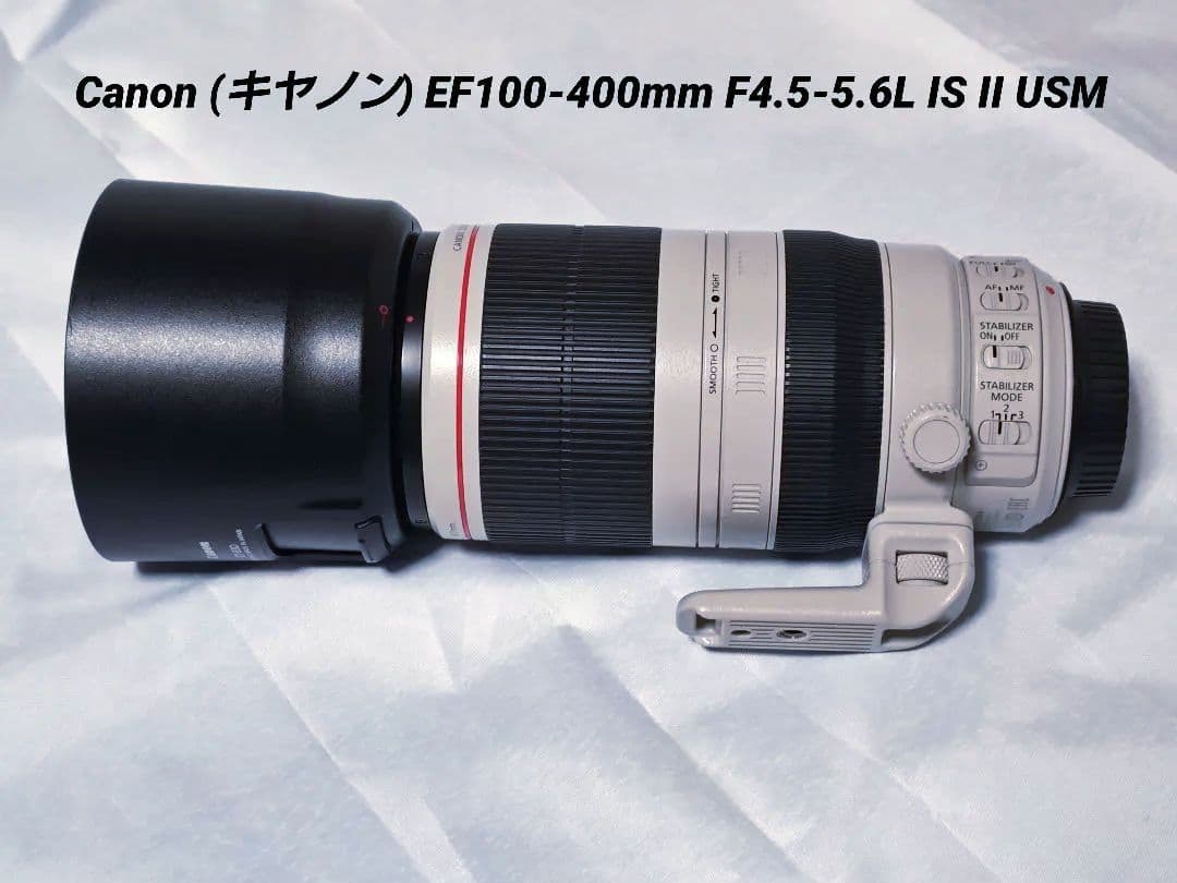 その他 Canon EF100-400mm F4.5-5.6L IS II USM