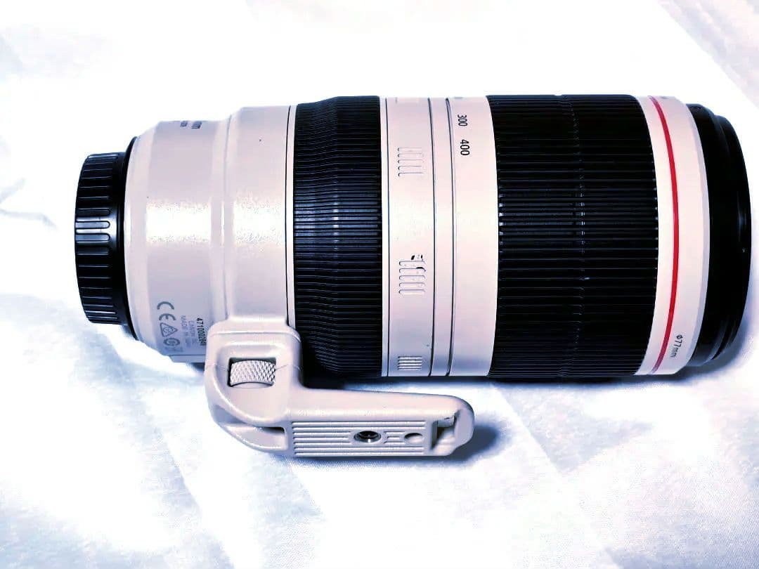 その他 Canon EF100-400mm F4.5-5.6L IS II USM