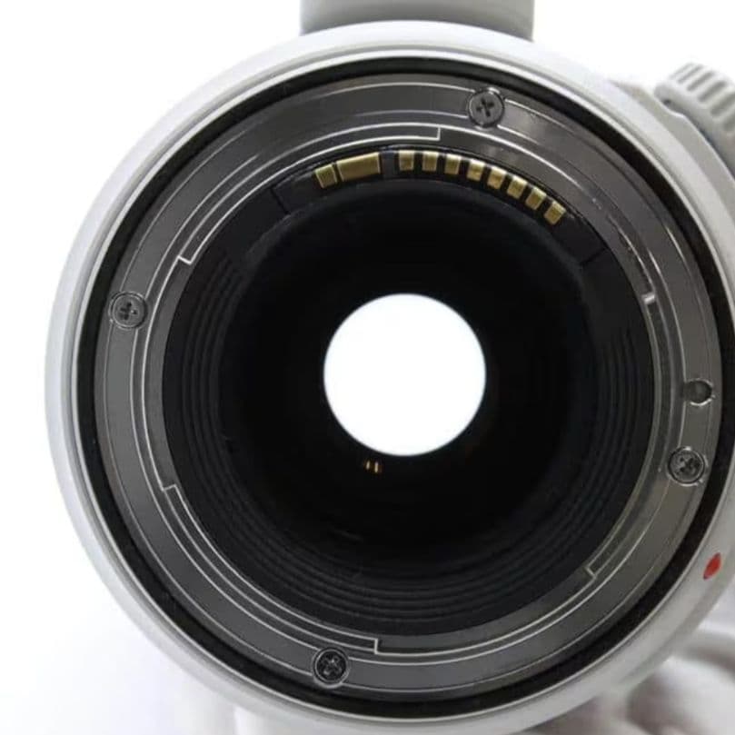 その他 Canon EF100-400mm F4.5-5.6L IS II USM