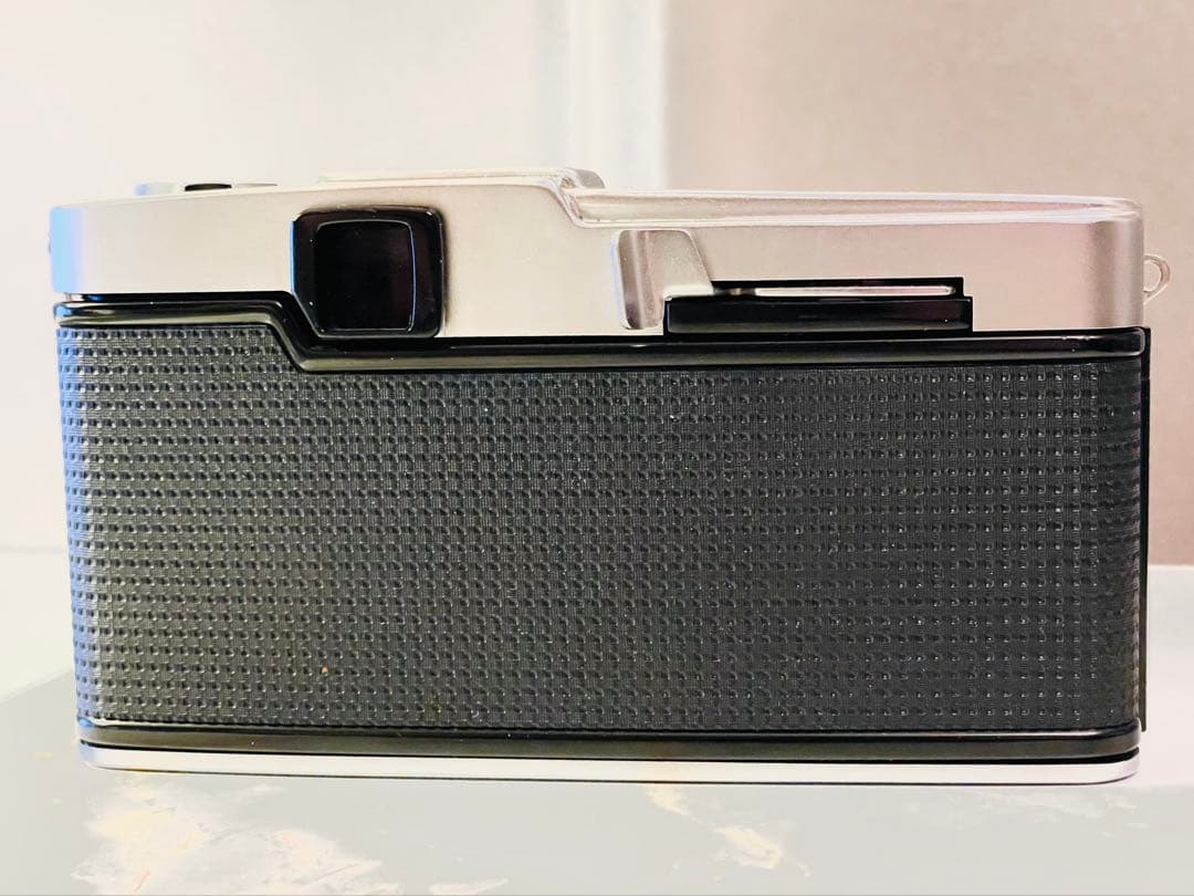 クモちゃん‼️