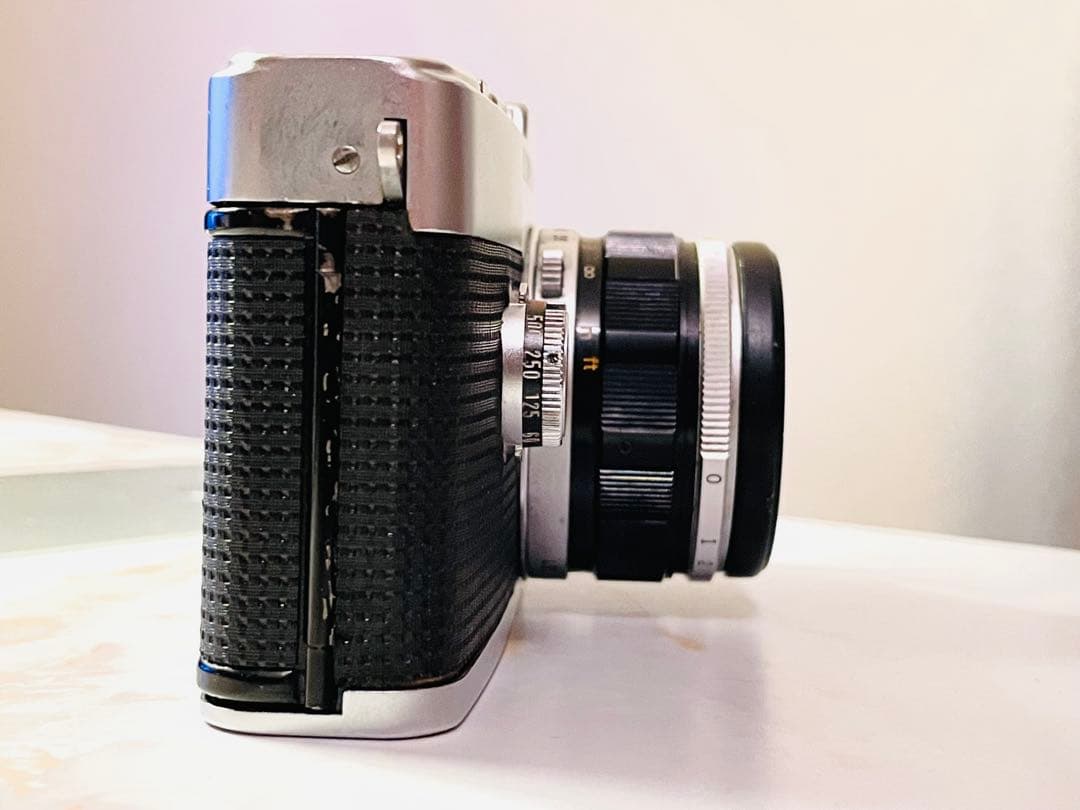 クモちゃん‼️