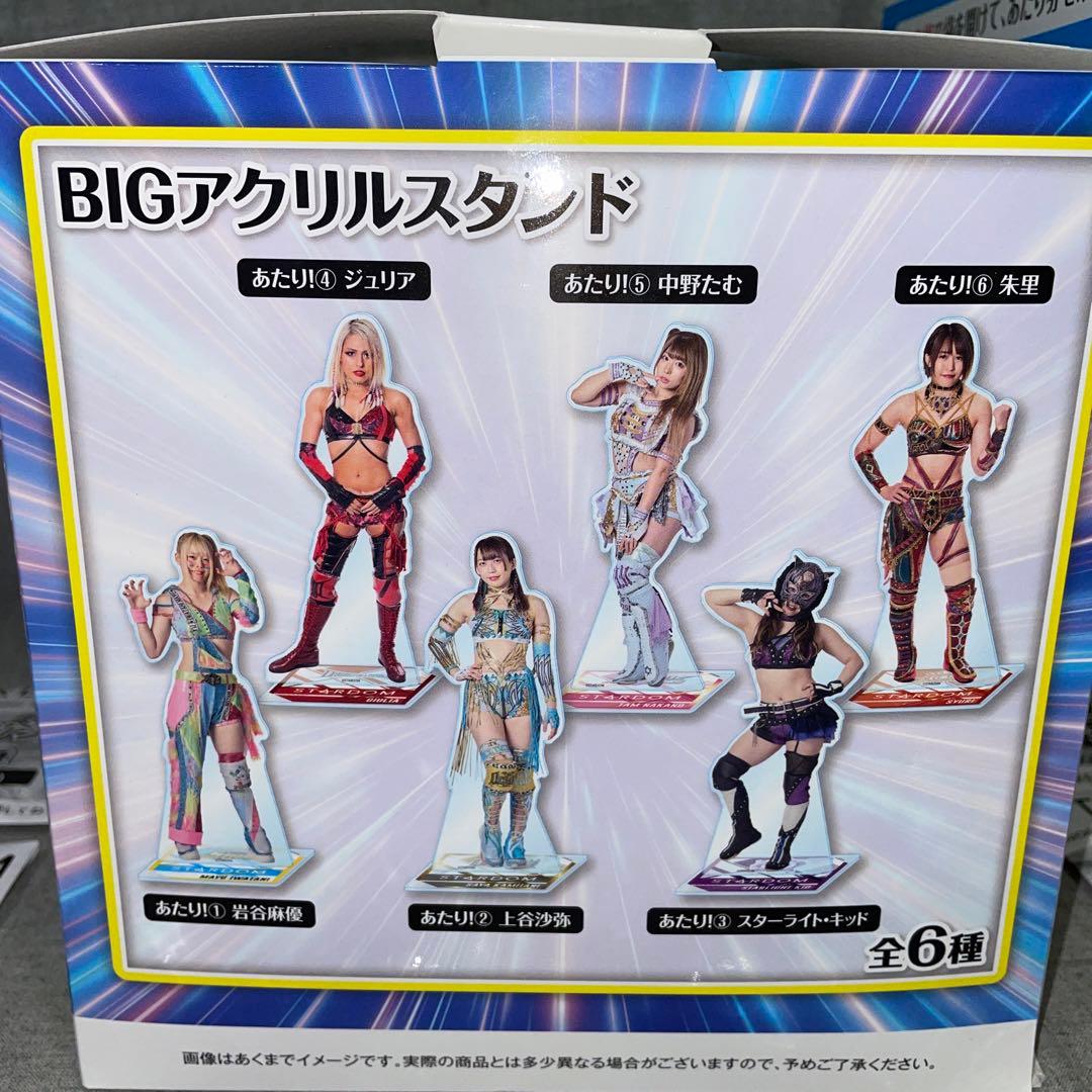 スターダム くじ　BIGアクリルスタンド　フィニッシュ賞　トレーディング缶バッジ