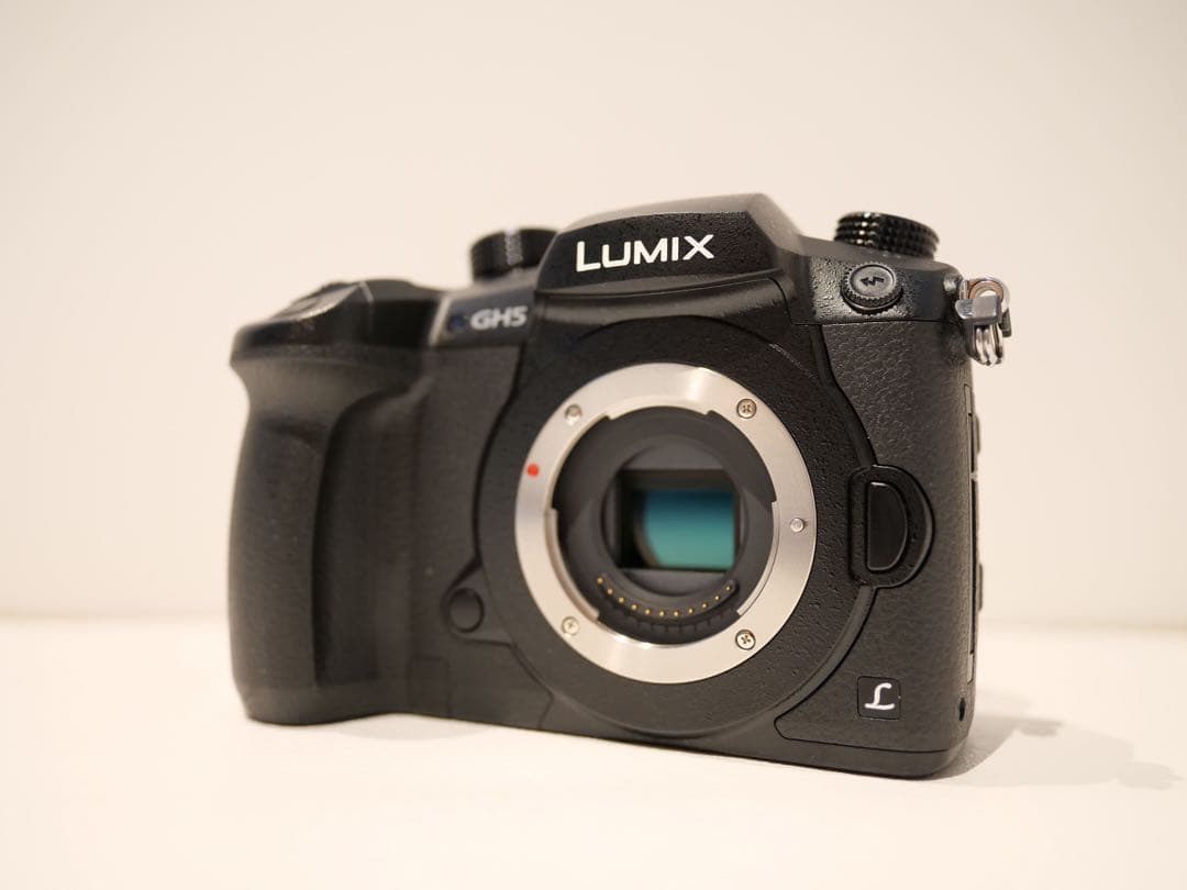 フィルムカメラ Panasonic LUMIX DC-GH5  14mm F2.5#1394