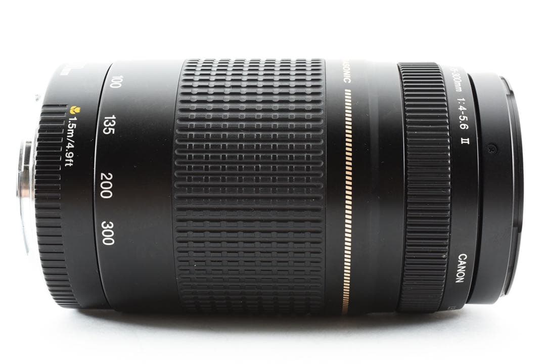 Canon EF 75-300㎜ F4-5.6 ll USM フルサイズ対応
