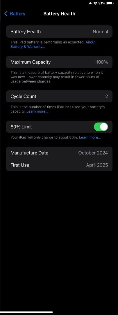 iPad mini 7 香港版 Apple Pencil pro パープル