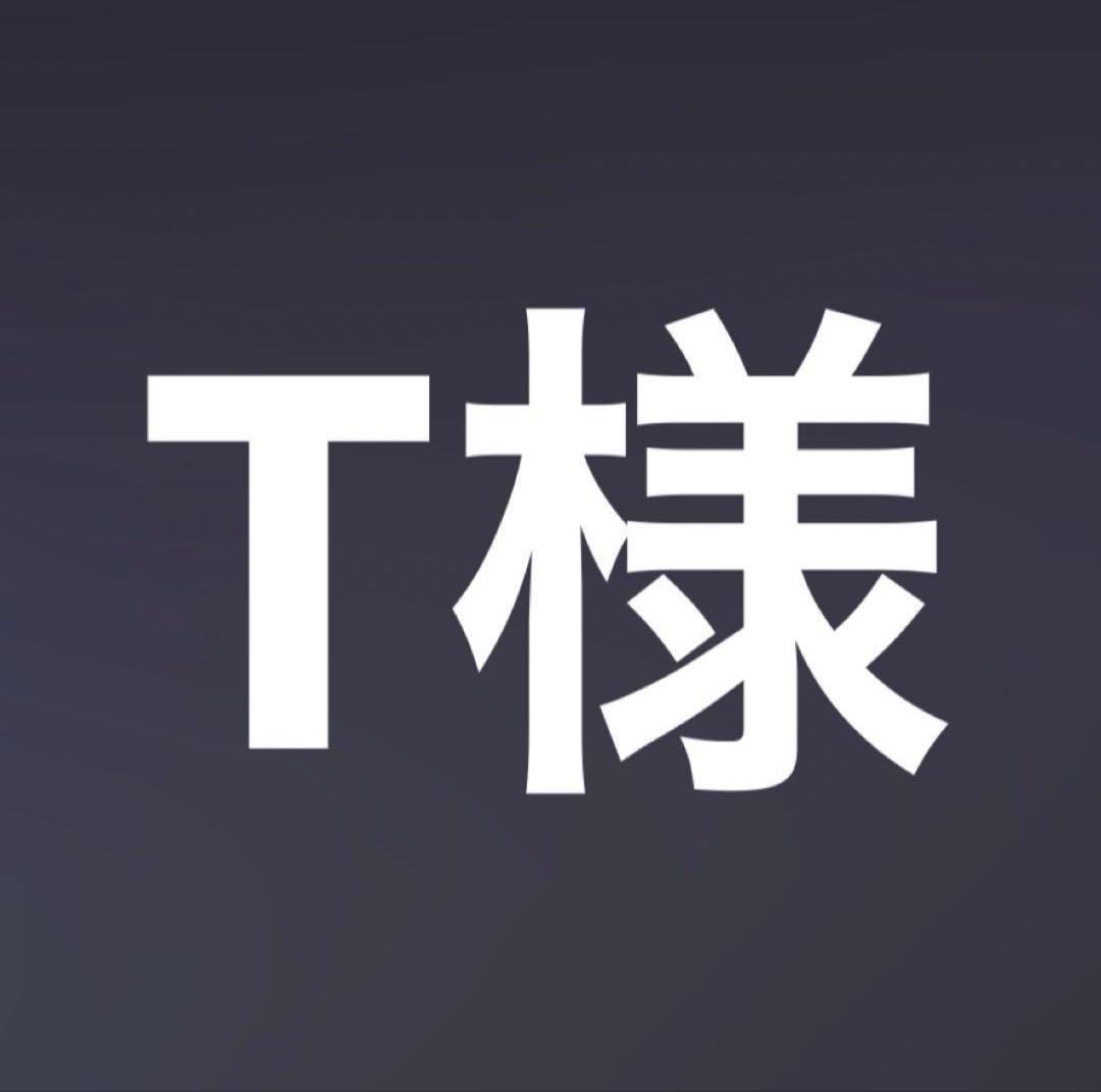 その他 T
