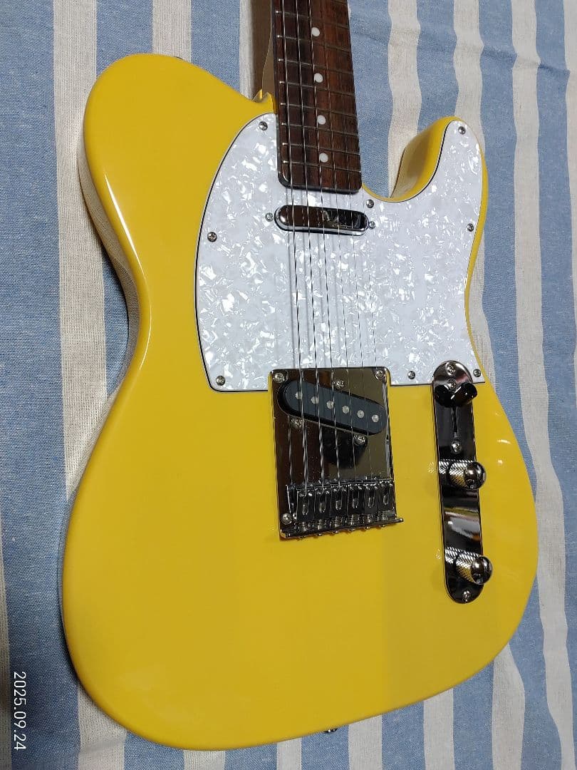 GrassRoots by ESPのテレキャスタイプG-TE-50R使用感少美品