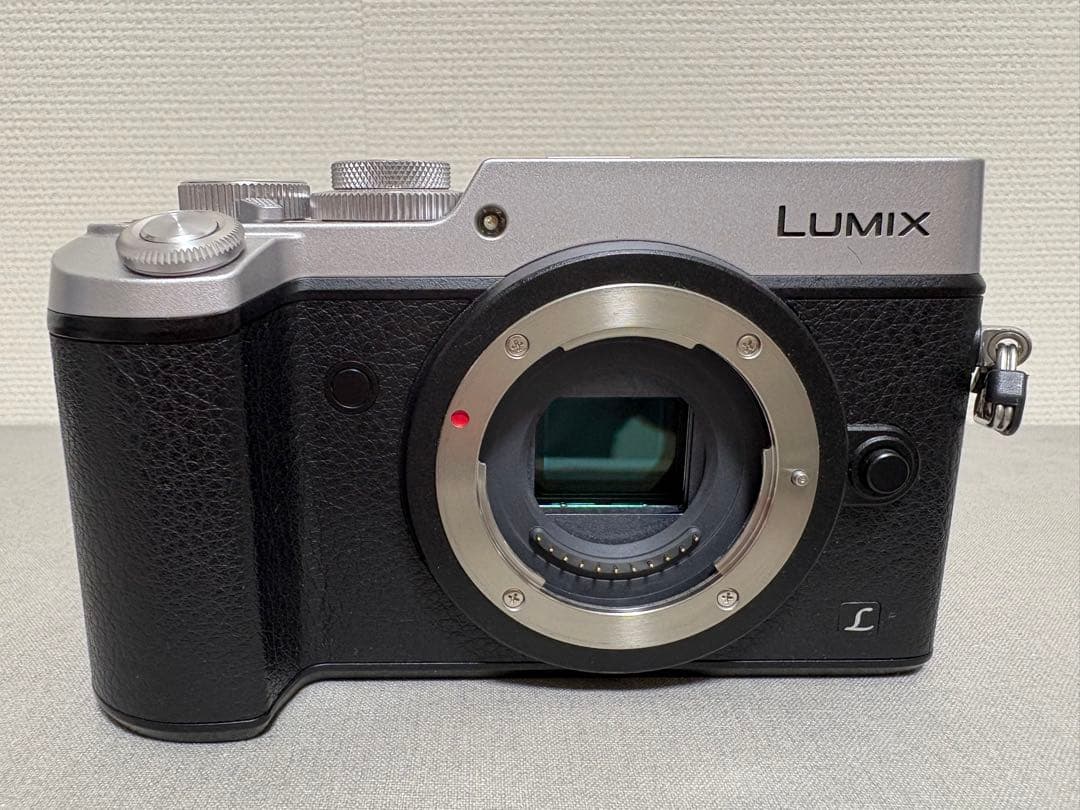 Panasonic LUMIX DMC-GX8H 高倍率ズームレンズセット