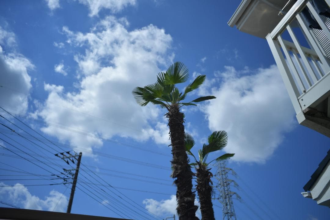 レンズ(単焦点) Nikon Ai Nikkor-H Auto 28/F3.5 L30