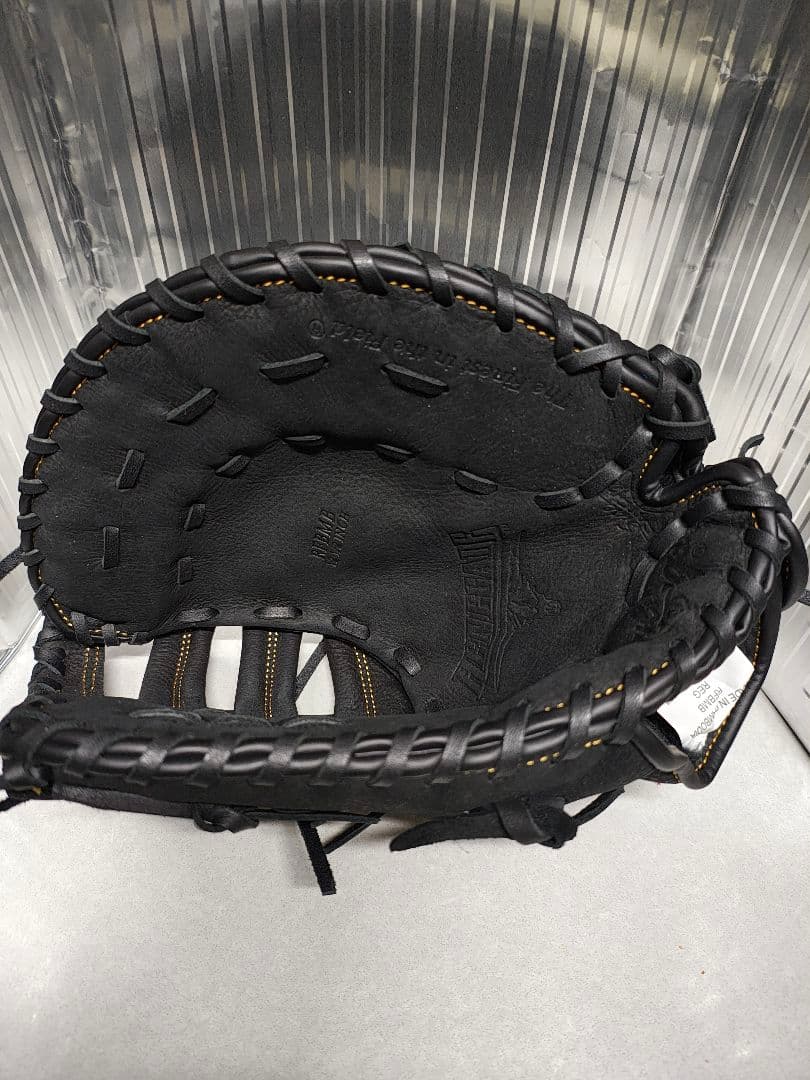 ローリングス　ファーストミット