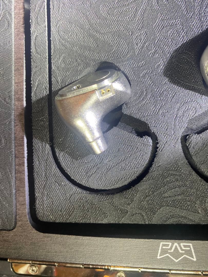 VISION EARS Erlkönig 有線イヤホン