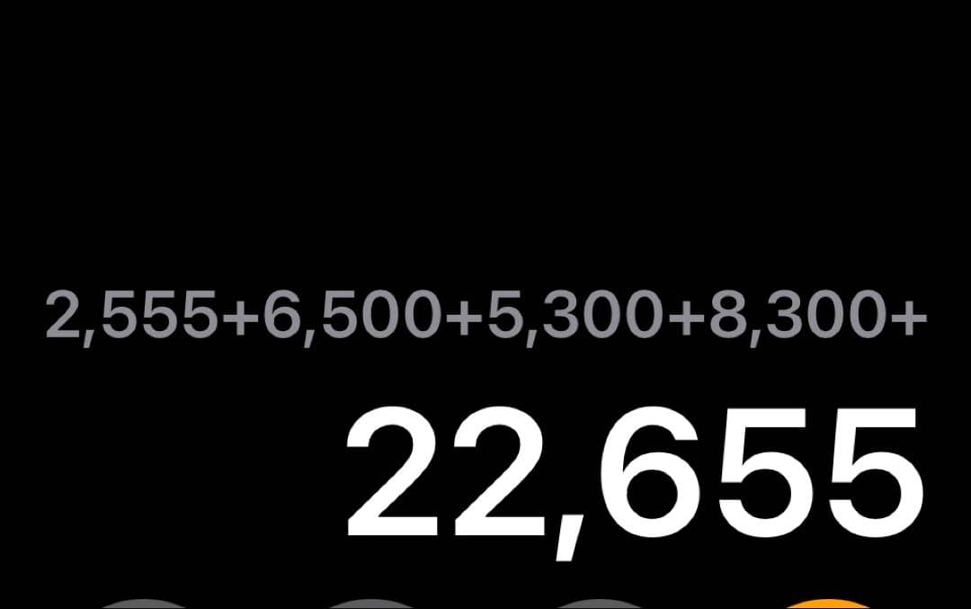 ハト　テラコッタ　箸置き　5個セット　北欧風　他3点おまとめ