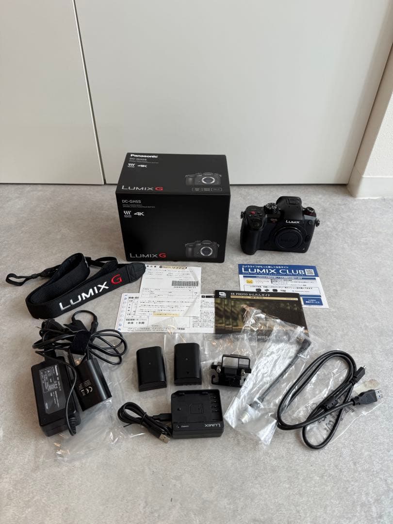 【美品】Panasonic LUMIX DC-GH5S 充実オプション付き