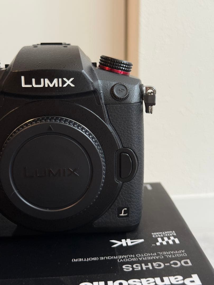 【美品】Panasonic LUMIX DC-GH5S 充実オプション付き