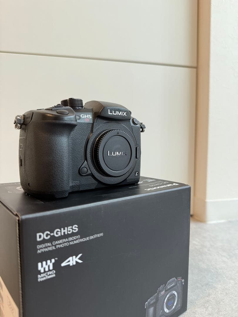 【美品】Panasonic LUMIX DC-GH5S 充実オプション付き