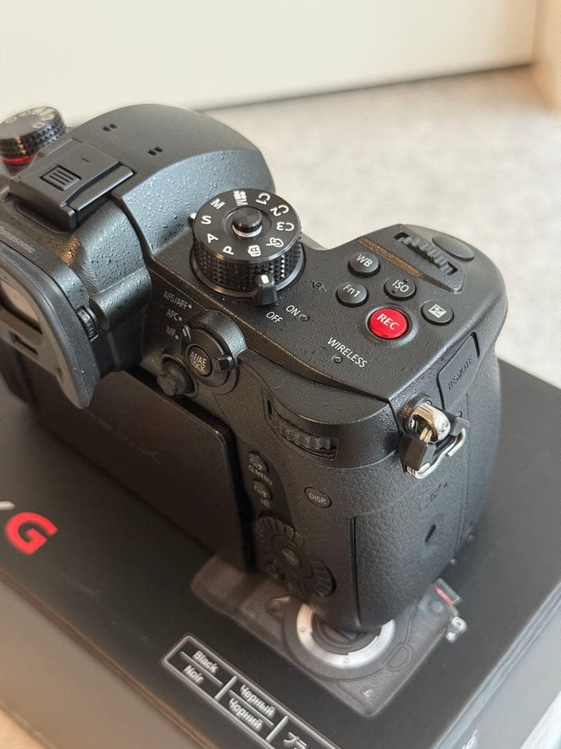 【美品】Panasonic LUMIX DC-GH5S 充実オプション付き