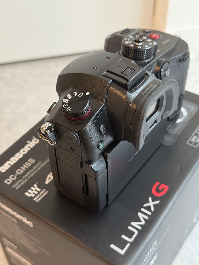 【美品】Panasonic LUMIX DC-GH5S 充実オプション付き